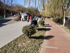 -南翠屏公园
