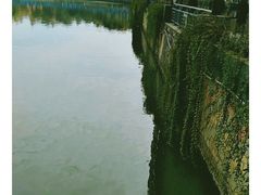 -西北湖绿化广场