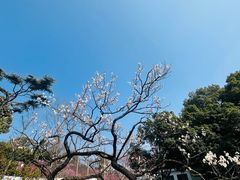-无锡梅园公园