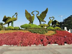 -白鹭洲公园