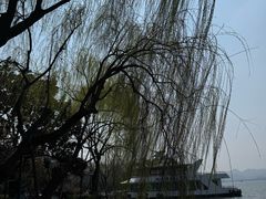 -西湖游船