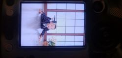-大象小米摄影