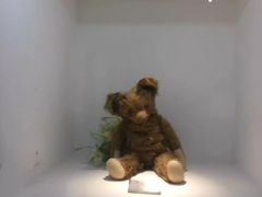 -成都泰迪熊博物馆