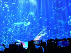 -华夏文旅海洋公园