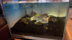 -青木造型HAIR·あおき髪を刈る潮人店