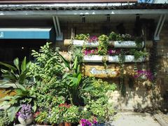 android_upload_pic-春暖花开(西溪店)