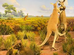 -陕西自然博物馆