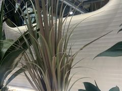 -兰湘子·湘菜小炒(崂山丽达店)