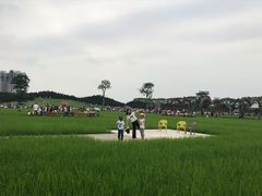 -迪茵湖田家舍生态农场