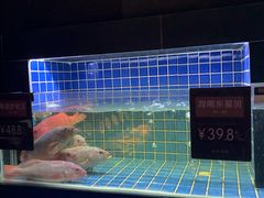 水产区-徐记海鲜(汉城湖|太奥店)