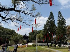 -荔湾湖公园