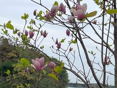 -海珠湖公园