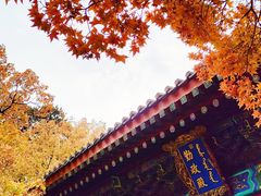 -香山公园
