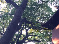 -普陀山风景名胜区-法雨禅寺