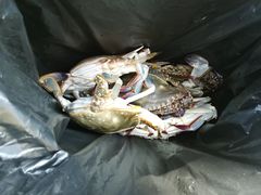 -盛华世家商业广场农贸水产综合批发市场