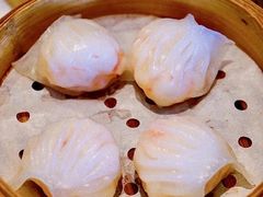 -春满园·早茶·粤菜·宴会(前海店)