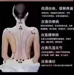 -安吉拉青春化管理中心