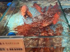 -德天雪花肥牛海鲜火锅(南苑东路店)