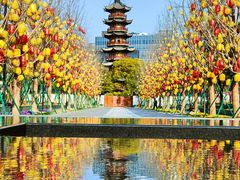 -龙华寺