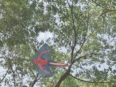 -杭州城北体育公园