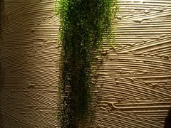 -老牌坊云南鱼豆花火锅(爱建店)