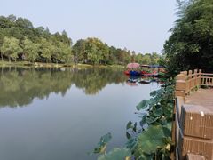 -洪湖悦兮半岛国际温泉度假村