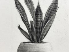 -谷隆画舍·国画书法素描彩铅水彩