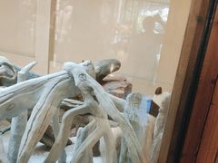 -宁波野生动物园