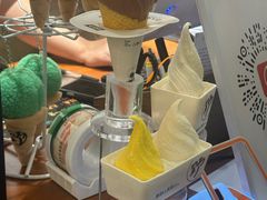 -野人先生Gelato(上海长宁龙之梦店)