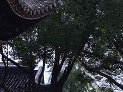 -山塘街