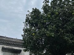-诗莉莉·厚德堂私房菜