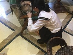 -猫色咖啡·猫咖