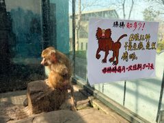 -无锡动物园·太湖欢乐园