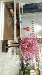 -Meng Lang 梦郎白金店