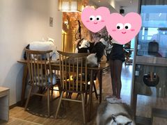 -猫小主咖啡·猫咖cat cafe(福田店)