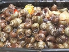 -蚝抵食·湛江生蚝(湾北路店)