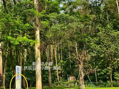-火炉山森林公园