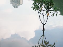 -江头公园