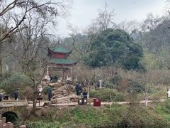 -岳麓山风景名胜区