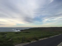 -企鹅岛