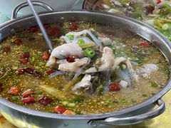 青花椒鱼-荥清饭店