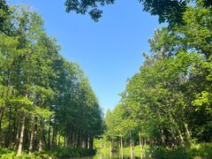 -西溪国家湿地公园