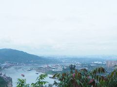 景点-铁山坪森林公园