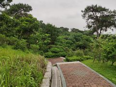 -四望岗公园