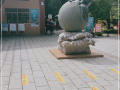 -广东惠东海龟国家级自然保护区