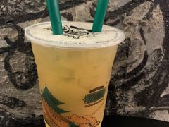 甜醅子绿茶-放哈·甜醅子奶茶创造者(正宁路店)