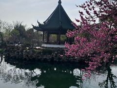 -无锡蠡湖国家湿地公园-蠡园
