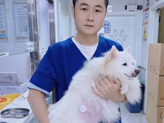-达爱动物医院·犬猫分区·CT·复杂眼科(远洋山水分院)