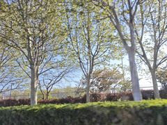 -大连果菜批发市场