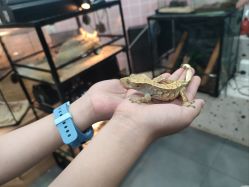 -Moni星球萌宠·小马宝莉·灵蛇·高端高阶全萌宠互动体验俱乐部(红豆国际广场店)